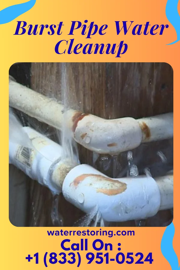 Burst Pipe Water Cleanup in New Ross, IN