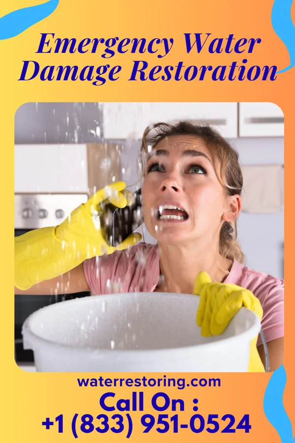 Emergency Water Damage Restoration in New Ross, IN