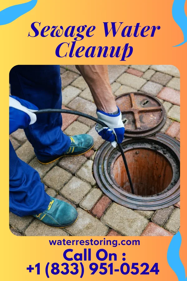Sewage Water Cleanup in New Ross, IN